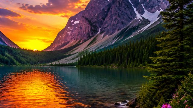 Vibrant Nature Scenery: Captivating Wallpaper Inspirations