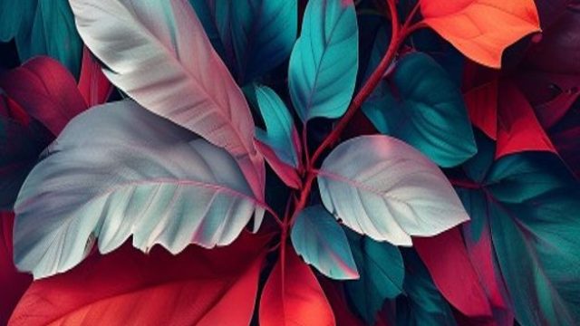 Explore the Allure of Bold Visuals in Modern Wallpaper Design