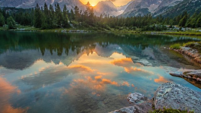 Embrace the Serenity: Nature-Inspired Wallpaper Collection