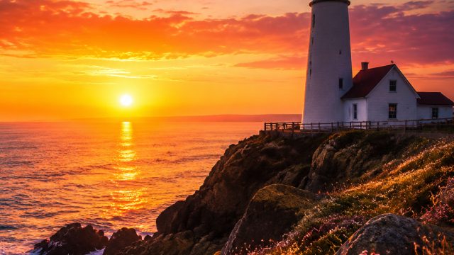 Dynamic Wallpapers for an Energized Experience
