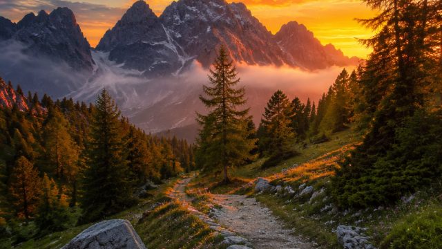 Captivating Landscapes: Nature's Beauty for Your Screens