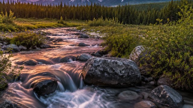 Captivating Nature: Explore Vibrant Landscapes for Your Screens