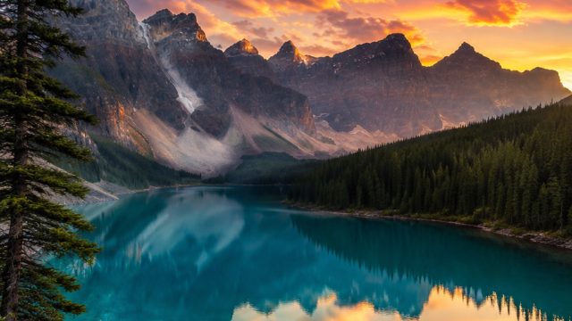Explore Vibrant Nature Backgrounds for Your Devices