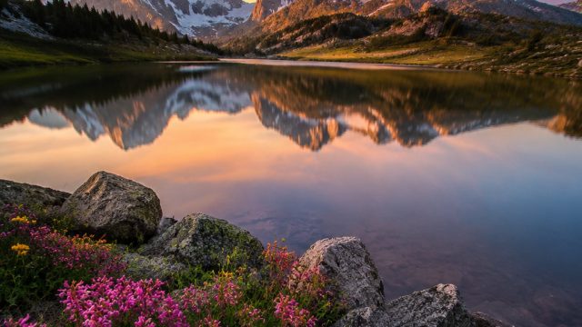 Capturing Serenity: The Essence of Contemporary Photography