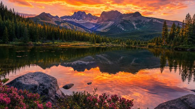 Captivating Nature: Transform Your Screens with Stunning Wallpapers