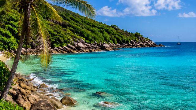Captivating Caribbean Vistas: A Wallpaper Journey