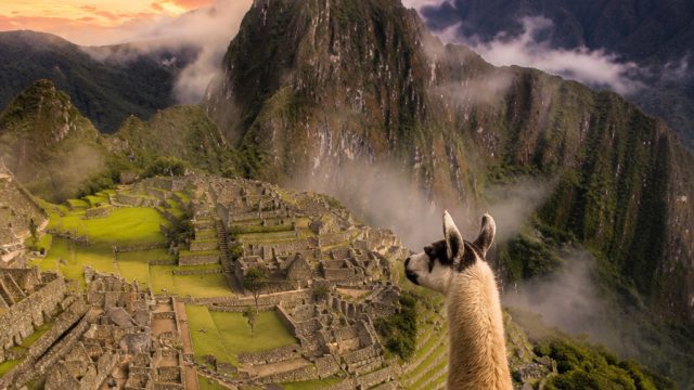 Vibrant Captures: Celebrating the Essence of Latin America