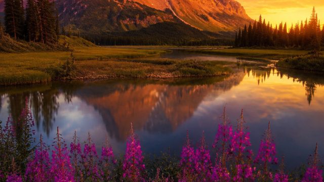 Discover Captivating Wallpapers for Every Mood and Device