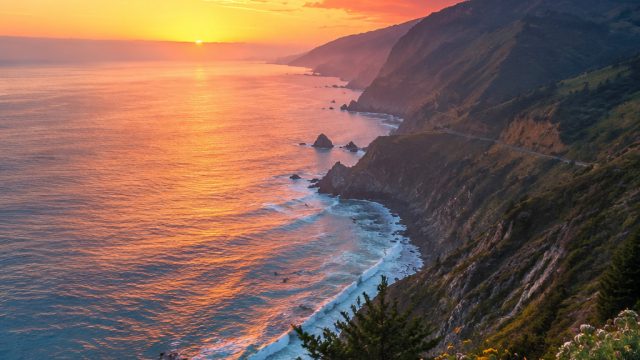 Explore Aesthetic Serenity: Whimsical Nature Wallpapers