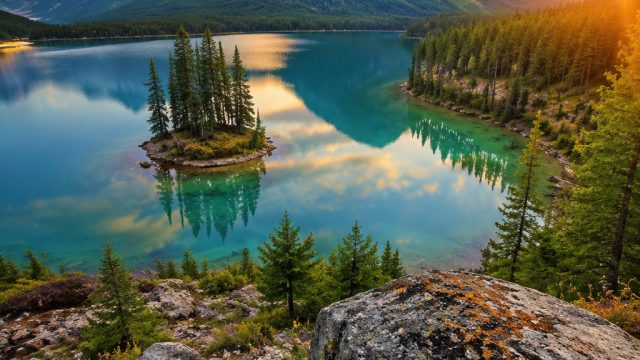 Explore the Tranquil Beauty of Nature in Our Latest Wallpaper Collection