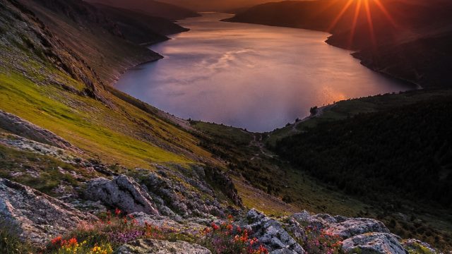 Captivating Nature: Explore Stunning Scenic Wallpapers for Every Mood