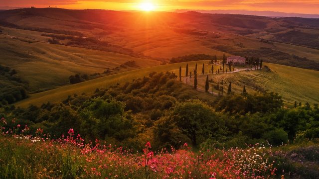 Discover Breathtaking Backdrops for Your Screen