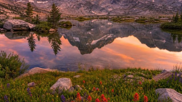 Transform Your Screen: Stunning Nature Wallpapers for Every Mood