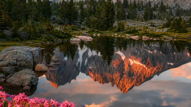Transform Your Screen with Nature-Inspired Aesthetic Wallpapers