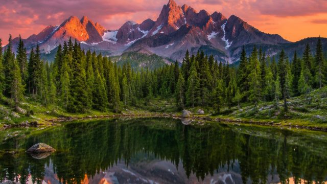 Serene Nature Portraits: Perfect Backgrounds for Your Devices