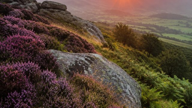 Elevate Your Screen: Captivating Nature-Inspired Wallpapers