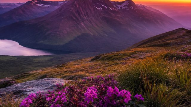 Creating a Stunning Photo Gallery: Tips and Inspiration