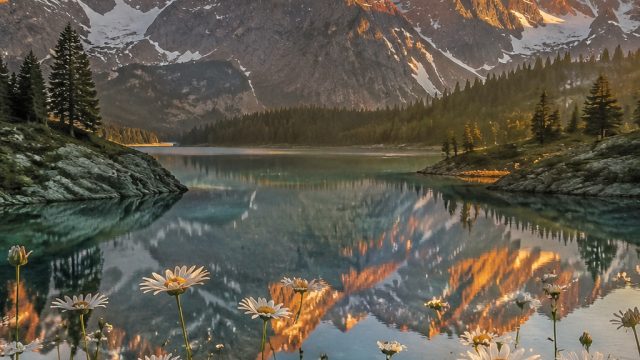 Explore Stunning Digital Wallpapers for Every Mood