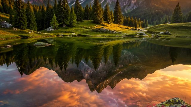 Captivating Serenity: Nature-Inspired Wallpaper Themes for Your Devices