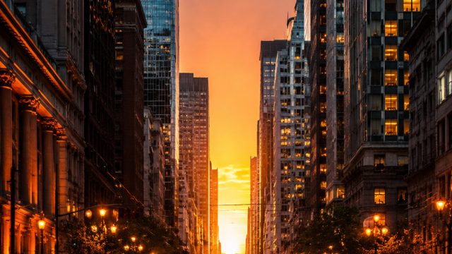 Dynamic Urban Landscapes: Capturing the Essence of City Life
