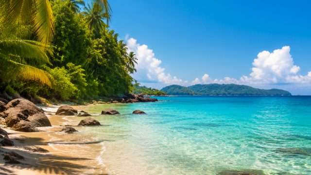 Captivating Summer Vibes: Heatwave-Inspired Wallpapers