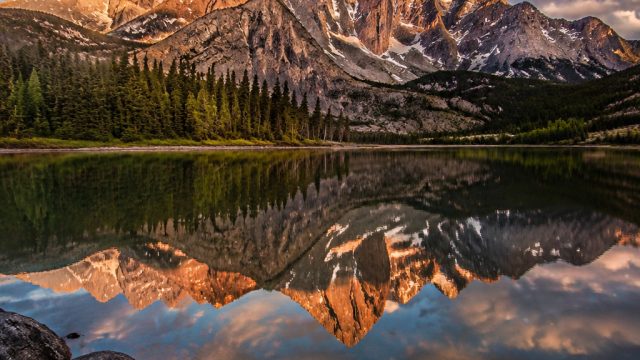Beyond the Lens: How Photography Shapes Wallpaper Trends in 2023