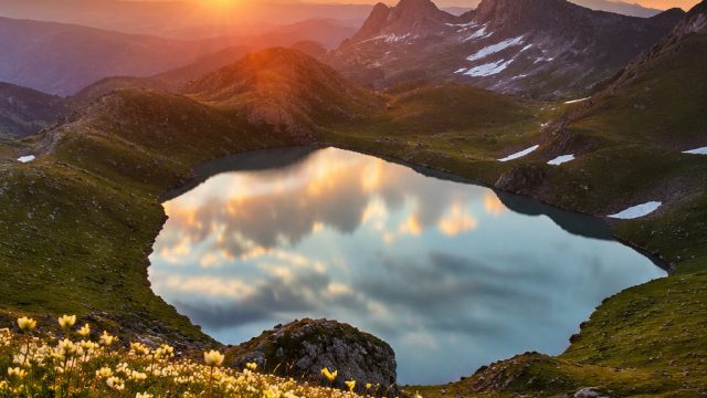 Captivating Nature Scenes for Your Device Backgrounds