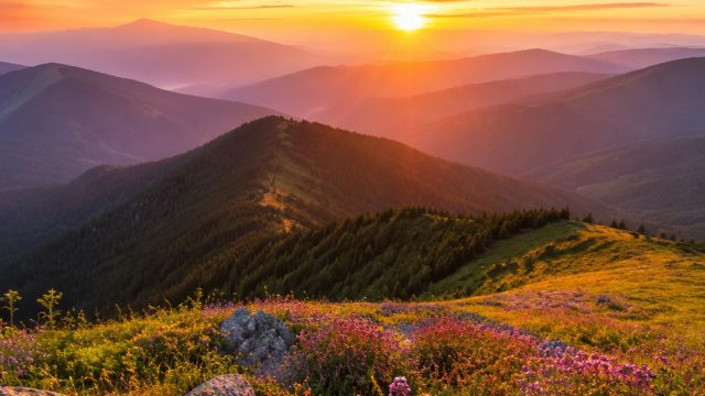 Five Essential Tips for Creating Stunning Wallpapers