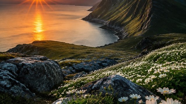 How to Curate a Stunning Photography Collection