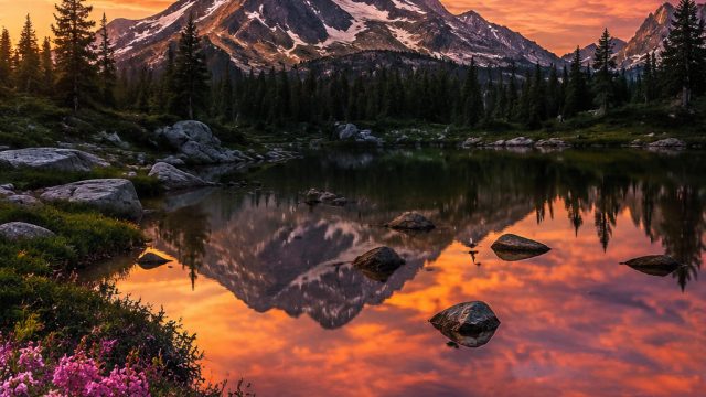 Embrace Serenity with Stunning Natural Landscapes