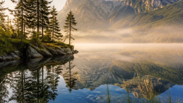 Embrace Serenity with Nature-Themed Wallpapers for Your Screens