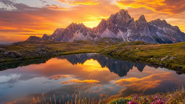 Transform Your Screen with Vibrant Nature Wallpaper Collections