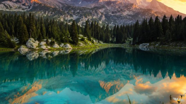 Embrace Tranquility with Serene Nature Wallpaper Collections