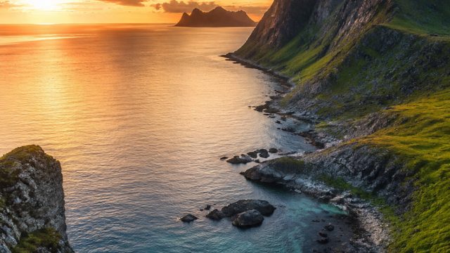Captivating Nature's Embrace: Wallpaper Inspirations for Every Mood