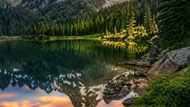 Embrace Nature's Beauty: Stunning Wallpaper Gallery