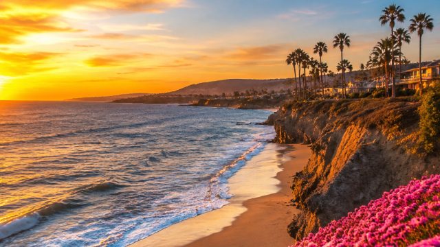 Captivating Coastal Vibes: Summer Festival Wallpaper Collection