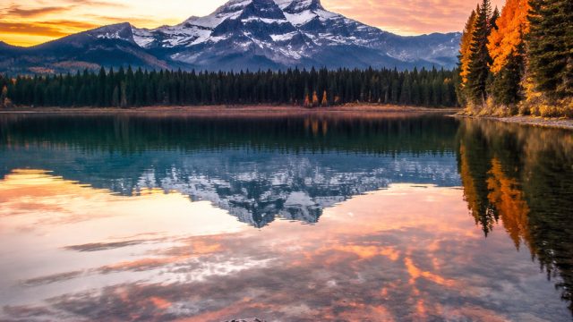 Seasonal Inspiration: Refresh Your Walls with Photography Wallpaper