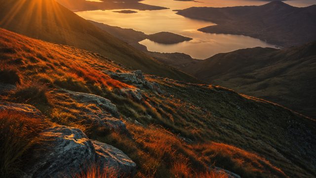 Captivating Visuals: Stunning Wallpapers for Every Mood