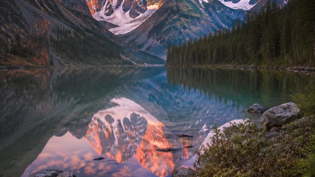Capturing Nature: The Trends and Techniques in Photography for Wallpaper