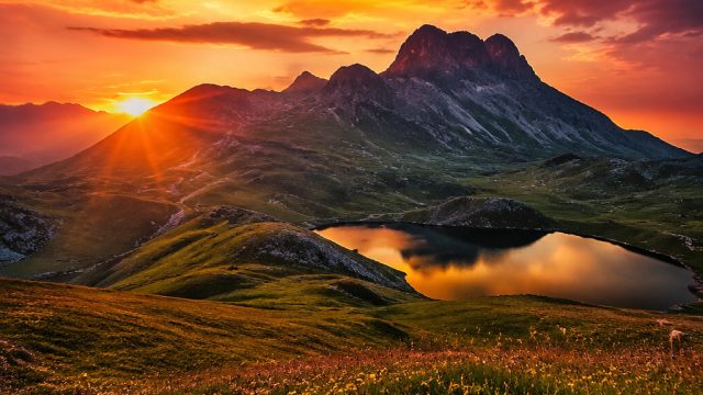 Discover the Allure of Realism in Modern Photography Wallpapers