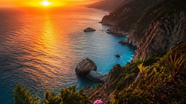 Embrace a Vibrant Escape with Our Latest Wallpaper Gallery