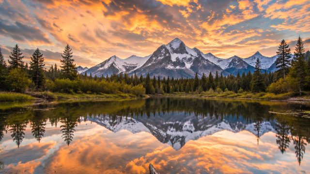 Captivating Visual Symphony: The Allure of Contemporary Photography