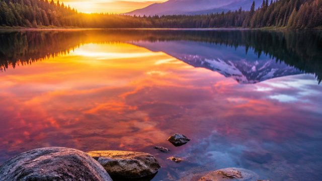 Serenity in Stillness: Unique Wallpaper for Your Digital Space