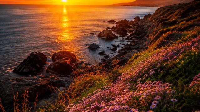 Dynamic Photography Backgrounds for Your Device