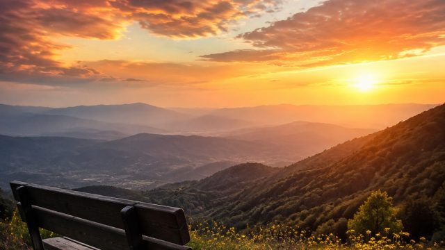 Finding Solace: Wallpapers That Inspire Peace and Resilience