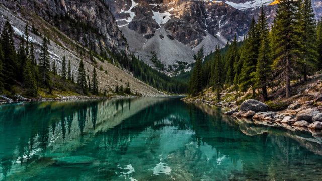 Explore the Enchanting World of Textured Backgrounds