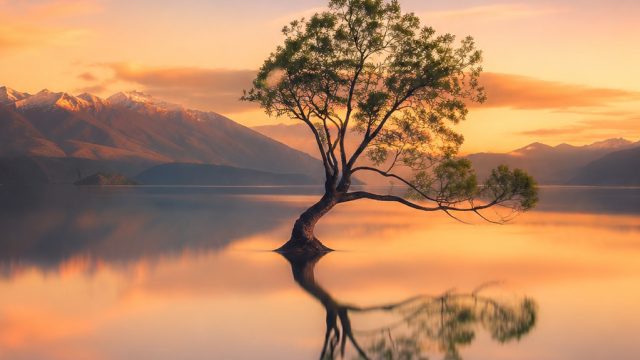 The Art of Minimalism in Photography: Capturing Simple Beauty