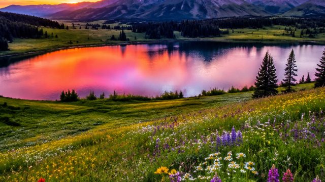 Elevate Your Space with Vibrant Nature-Inspired Wallpapers