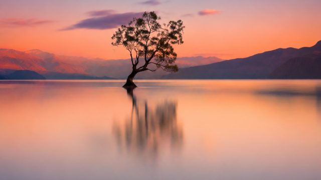 The Impact of Minimalism on Photography and Design