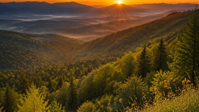 Capturing the Essence of Nature: A Journey Through Landscape Photography